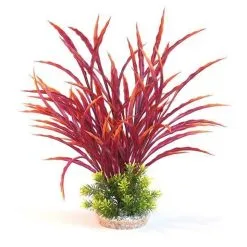 Sydeco Atoll Maxi 42 Cm Mix 1St