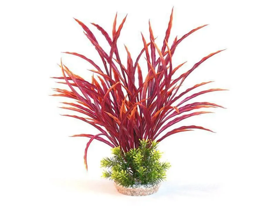 Sydeco Atoll Maxi 42 Cm Mix 1St