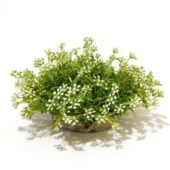 Sydeco Beauty Ball 10 X 15 Cm