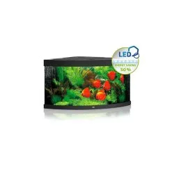 Juwel Komplett Eck-Aquarium Trigon 350 LED Ohne Unterschrank