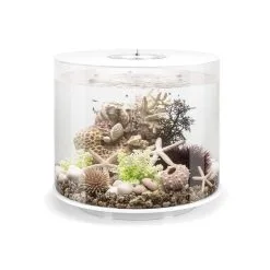 BiOrb TUBE 35 LED Weiß