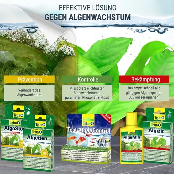 Tetra Wassertest AlgaeControl 3in1 – Bild 4