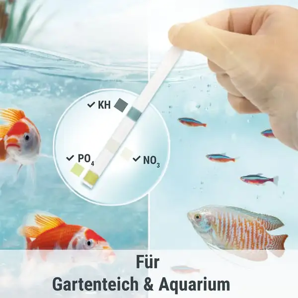 Tetra Wassertest AlgaeControl 3in1 – Bild 5